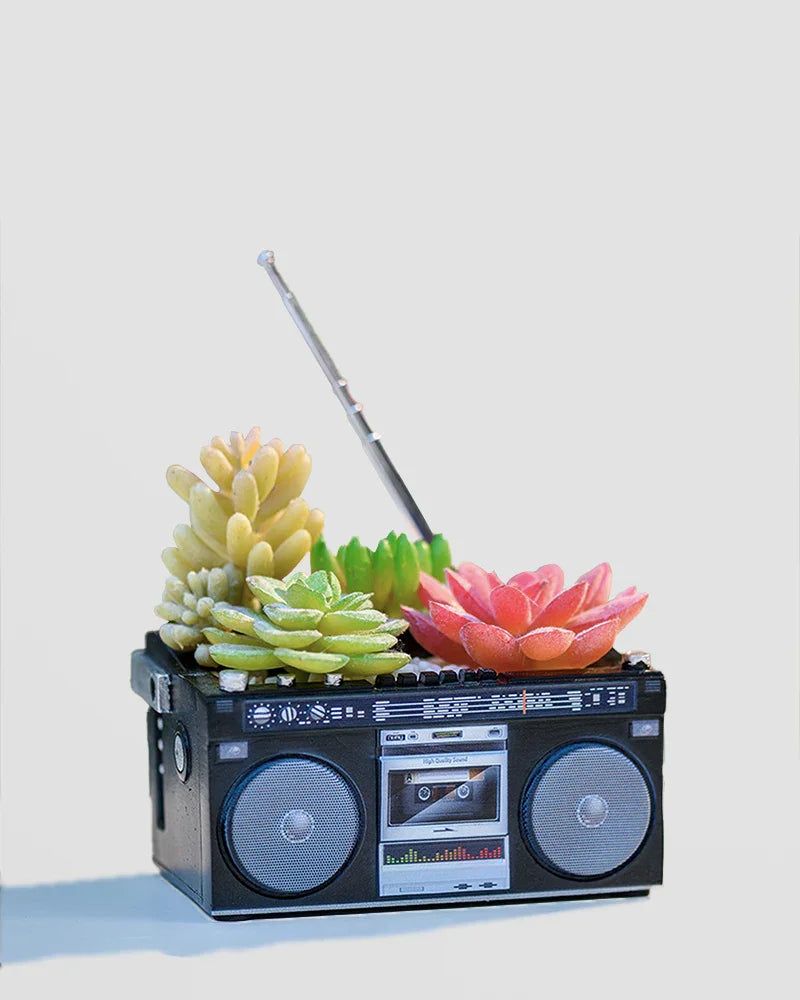 Unique Plant Pots & Planters: Funky, Quirky, Unusual Vases
