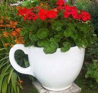 Unusual Garden Planters